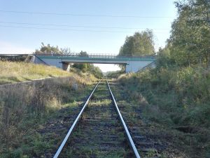 PKP PLK zabezpiecza żywotne interesy dzięciołów i sów obok linii kolejowej do lotniska w Pyrzowicach