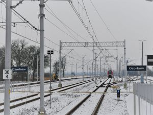 Atrakcyjne połączenia pociągiem z Łodzi i Zgierza do Ozorkowa, Łęczycy i Kutna