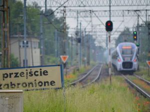 PKP Polskie Linie Kolejowe S.A. ogłosiły pięć przetargów na szacunkową kwotę prawie 6 mld zł. 