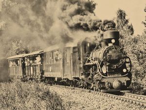Rogowska Kolej Wąskotorowa potrzebuje wsparcia. „Znika kolejowe dziedzictwo”