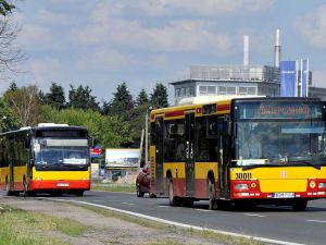 WKD precyzuje informacje dotyczące zastępczej komunikacji autobusowej