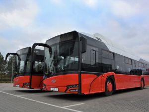 Ostrów Wielkopolski z sześcioma nowymi autobusami elektrycznymi