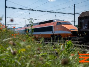 Zarząd Infrastruktury Kolejowej w Czechach prezentuje pociąg dużych prędkości TGV