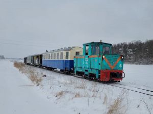 Kolej Rogowska przeprowadzała dzisiaj "wiosenne" jazdy próbne lokomotywy wąskotorowej 803D-16. 
