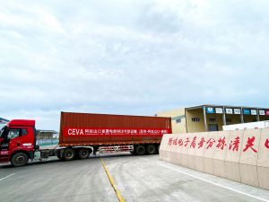 CEVA Logistics z ofertą transportu lądowego z Chin z wykorzystaniem kodów celnych e-commerce
