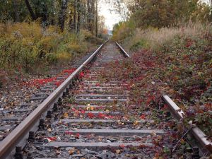 Stomma: systemowo odchodzimy od likwidacji linii kolejowych
