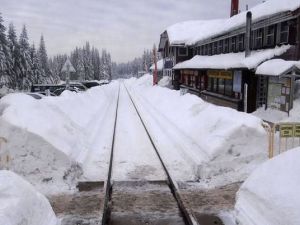 Rozkład jazdy pociągów na Bieg Piastów