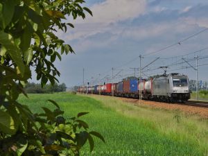 Wyniki kolejowych przewozów towarowych w maju 2020