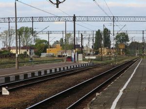 113 mln zł na modernizację linii Oleśnica – Krotoszyn