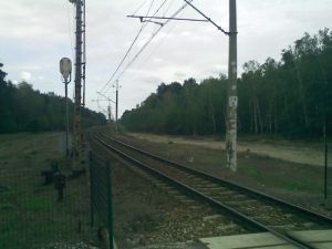 Poprawa linii na odcinku Kutno - Płock jeszcze przed końcem 2020 r.