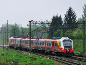 Łódzkie: pociągiem w Lasy Spalsko-Rogowskie