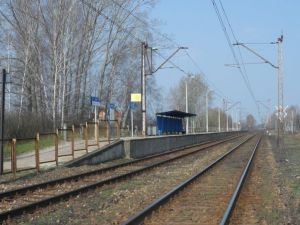 Prawie 35 mln zł na modernizację linii między Łowiczem na Skierniewicami