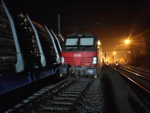 Zderzenie pociągów towarowych w czeskich Prosenicach