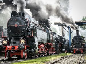 Aż 12 parowozów na paradzie w Wolsztynie
