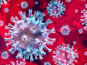 UTK:  Co musimy wiedzieć o koronawirusie?