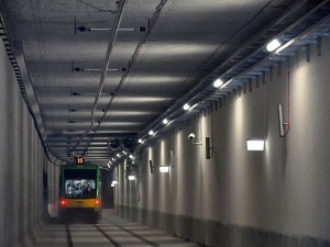 Nietypowi goście w tunelu tramwajowym w Poznaniu