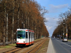 Łódź: linia 46 do Ozorkowa zostaje