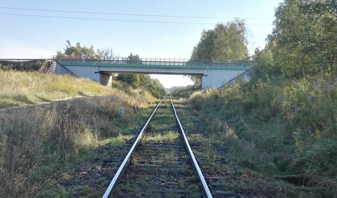 PKP PLK zabezpiecza żywotne interesy dzięciołów i sów obok linii kolejowej do lotniska w Pyrzowicach
